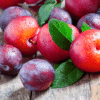 plum 1