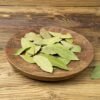 Bayleaf Bayleaf