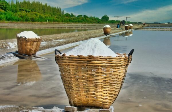 basket, salt, thailand-4834738.jpg