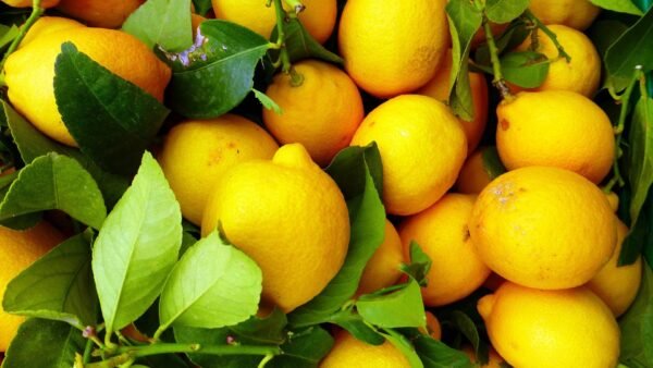 lemons