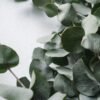 Tea Tree & Eucalyptus Essential Oil Glycerin Soap - Image 3