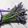 lavender lavender