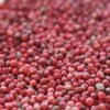 pink pepper pink pepper