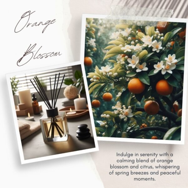 Orange Blossom Spa- Reed Diffuser