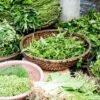 Tuscan Herbs Tuscan Herbs