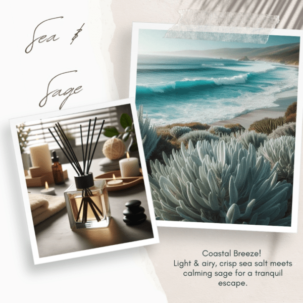 Reed diffuser paired with a coastal scene, evoking the freshness of sea salt and the calming essence of sage.