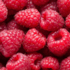 Raspberry 1