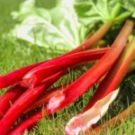 Country Garden- Room Spray 3 Rhubarb