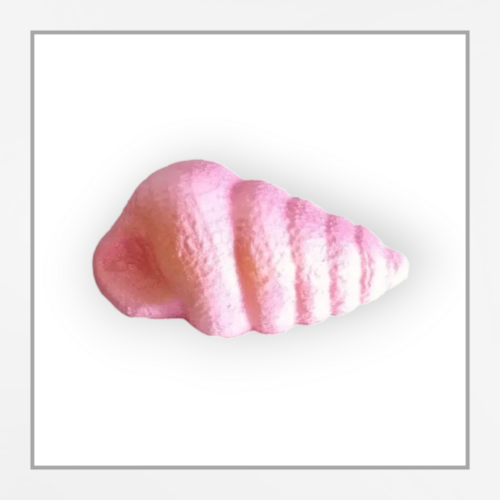 Bath Bomb - Shell