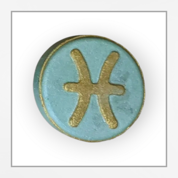 Bath Bomb - Zodiac - Pisces