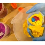 the bath bomb process (1) Bath Bomb making process showing colours inside bath bomb