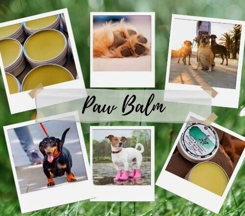 #1 All-Natural Paw Protection