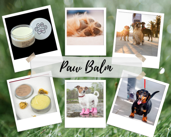 paw balm collage