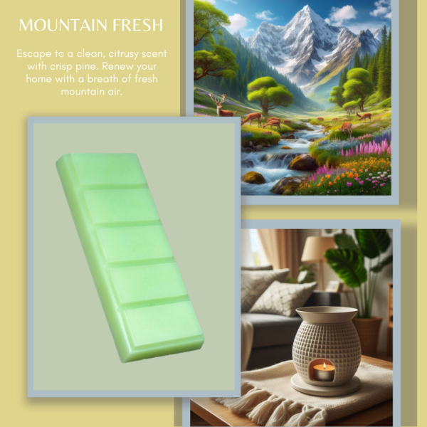 Mountain Fresh- Wax Melt