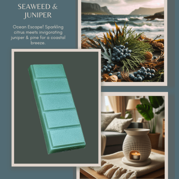 Seaweed & Juniper- Wax Melt