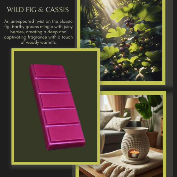 Wild Fig & Cassis- Wax Melt