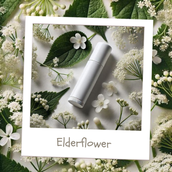 Elderflower - Lip Balm- Fragrance Oil