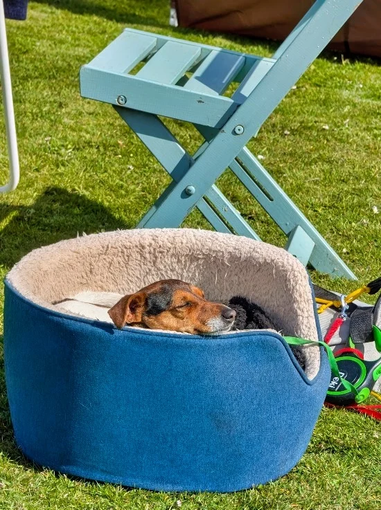 Luxurious Leash & Leather Dog Shampoo Bar | Soothing & Calming Lavender & Geranium 2 Me at my best helping to sell Schmoo Shampoo at a summer market