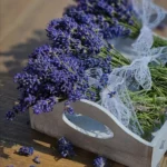 Highland Lavender - Room Spray 2 lavender image
